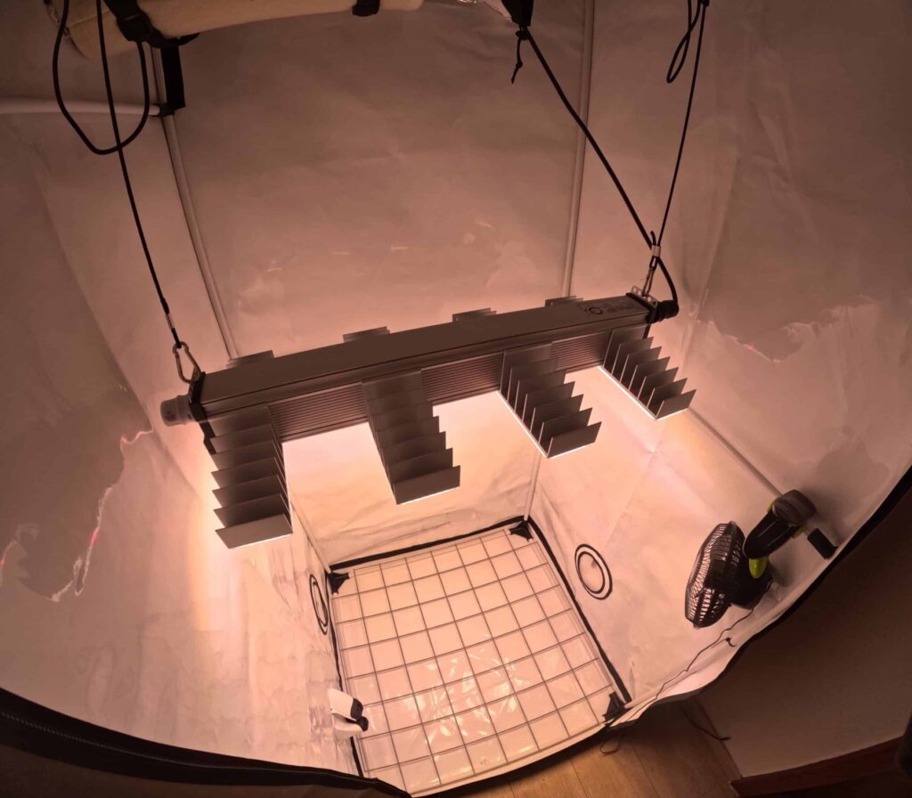 Messaufbau der SANlight Evo 4-80 fuer die PPFD Messungen im 80x80 Zelt