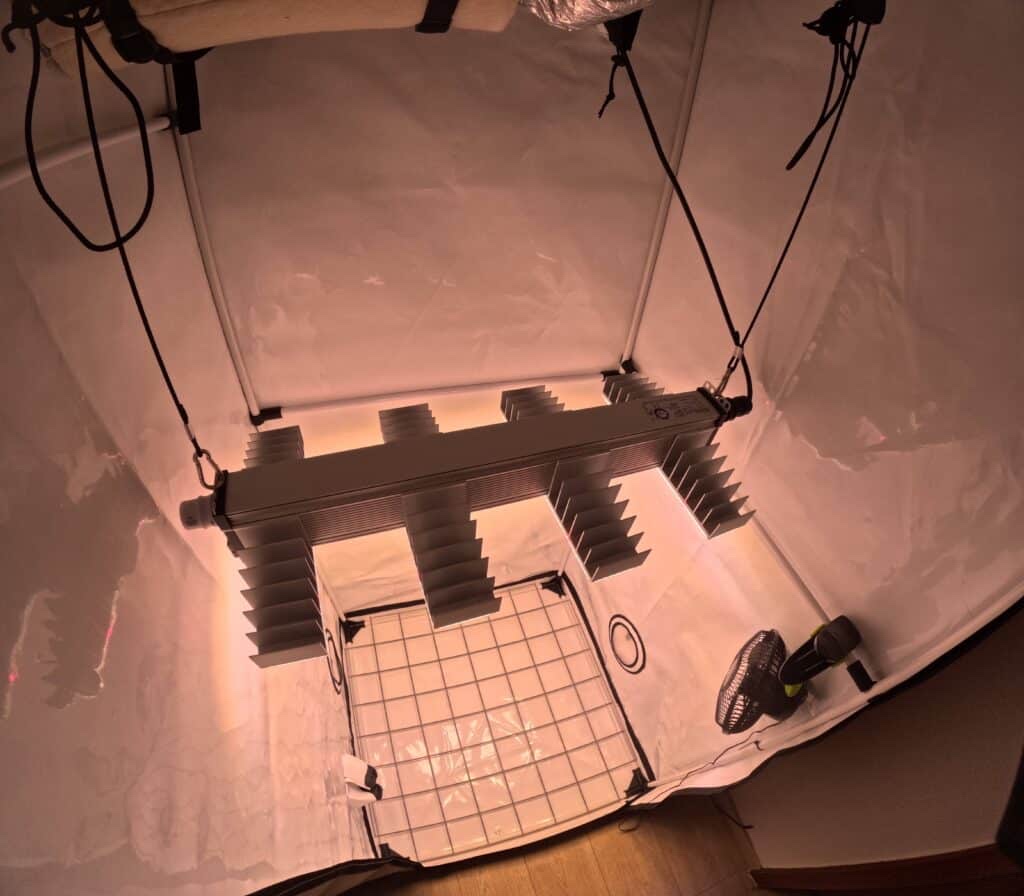 SANlight EVO 4-80 Version 1.5